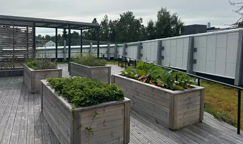 Med en kombinasjon av Leca® Lettklinker og biokull i jordblandingen, får planter og blomster optimale vekstforhold slik at hagen blir en frodig oase til glede for beboerne og besøkende. 