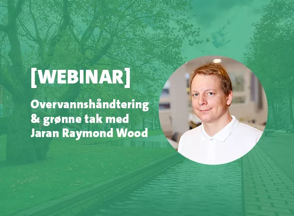 Webinar - Overvannshåndtering og grønne tak