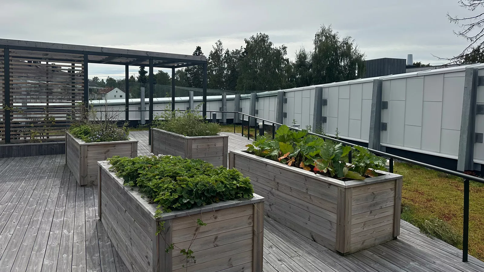 Med en kombinasjon av Leca® Lettklinker og biokull i jordblandingen, får planter og blomster optimale vekstforhold slik at hagen blir en frodig oase til glede for beboerne og besøkende. 