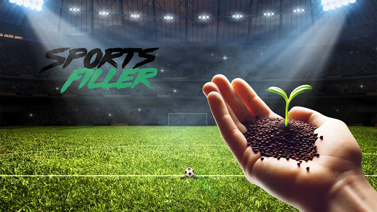 Hånd som holder naturlige Sportsfiller-kuler med en spirende plante over en opplyst fotballbane, som symboliserer bærekraftig ifyll til kunstgress.