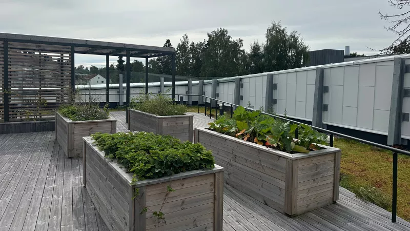 Med en kombinasjon av Leca® Lettklinker og biokull i jordblandingen, får planter og blomster optimale vekstforhold slik at hagen blir en frodig oase til glede for beboerne og besøkende. 