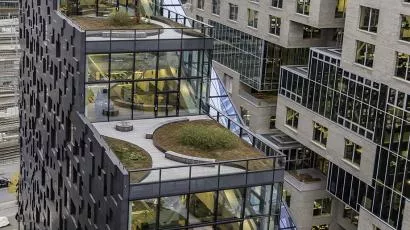 Oslo kommune stilte krav til at halvparten av de nye byggene i Bjørvika skulle ha grønt tak