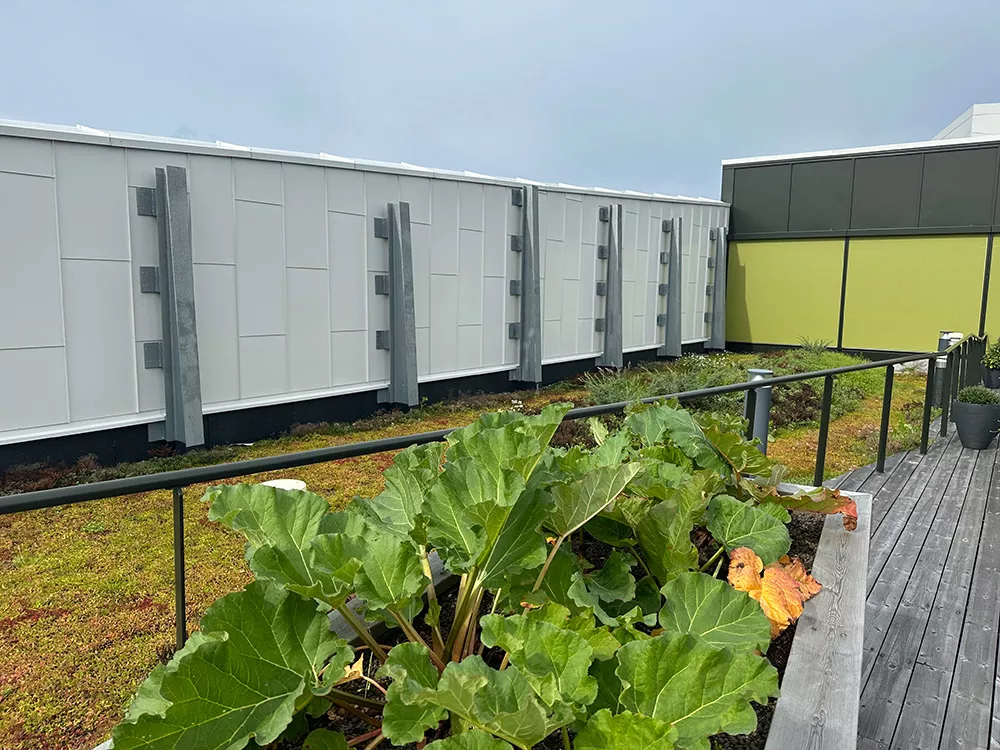 Fordelen med Leca® Lettklinker er at jorda blir lettere og får god drenering – i tillegg til at det gir et godt underlag for vekster og planter. Disse egenskapene er helt avgjørende i slike prosjekter. 